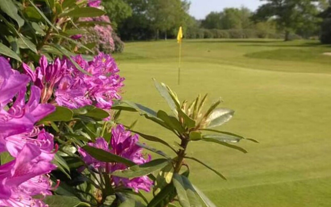 Dorset Golf and Coaching – 12th October