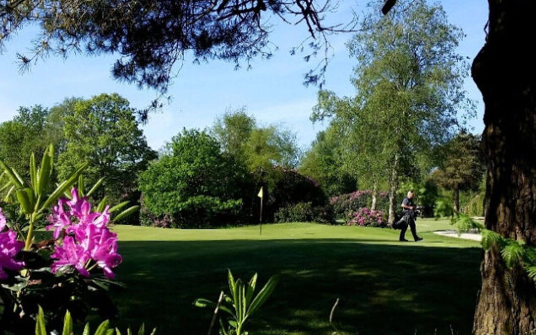 Dorset Golf and Coaching – 13th July – Dorset Resort